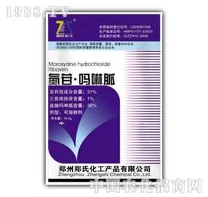 31%���Ն�����