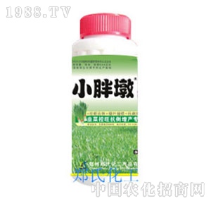 С�ֶվ²˿������a����