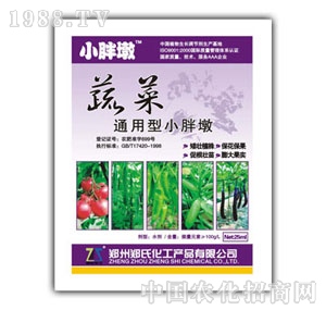 С�ֶ��߲˹Ϲ�����