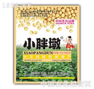 С�ֶմ󶹌���