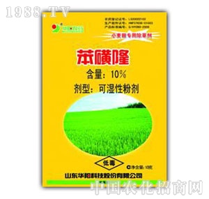 �A�-10%����¡�ɝ��Էۄ�