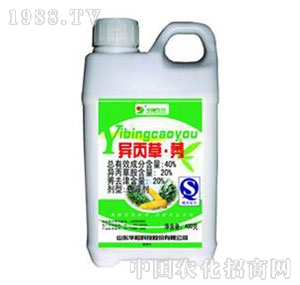 �A�-40%����ݬȥ��Ҹ���