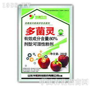 �A�-25%����`�ɝ��Էۄ�