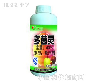 �A�-40%����`�Ҹ���