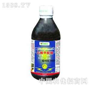 �A�-30%�����װ�������