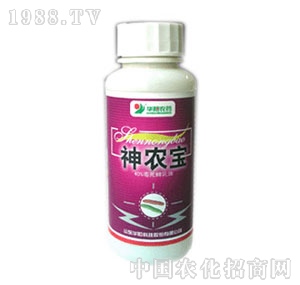 �A�-������