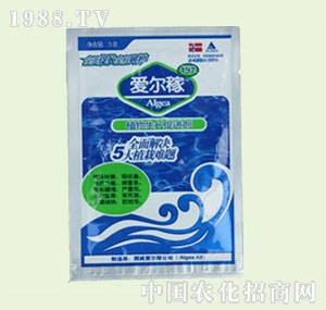 �̴T�S-�۠���