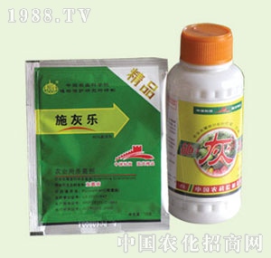 �̴T�S-40%ʩ�Ҙ�(l��)