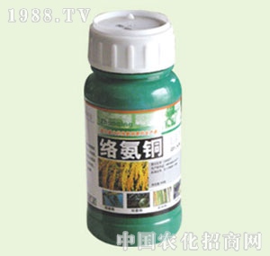 �̴T�S-�j(lu��)���~