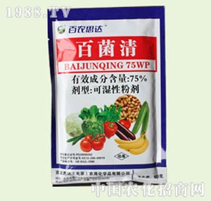 �̴T�S-75%�پ���