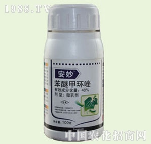 �̴T�S-����