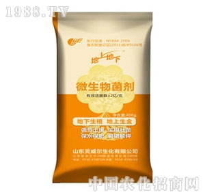 ���ϵ���΢�������