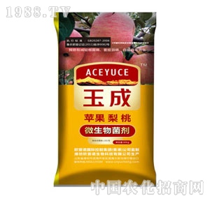 ���΢����������O(p��ng)�����ң�