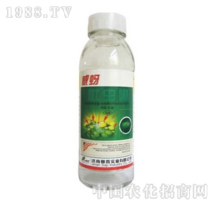 ِ��-����