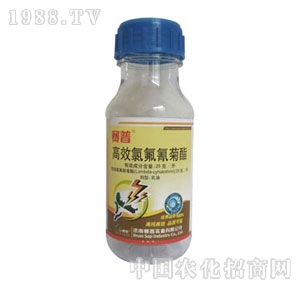 ِ��-��������