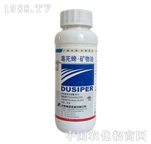 ِ��-������