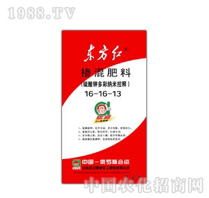 �t�հ����|���t���ܓ���16-16-13