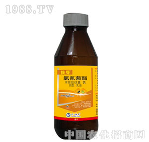 ���r��-��ѽ