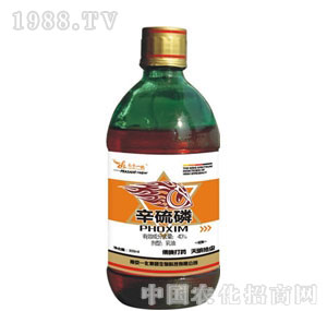 �Ͼ�һ��-������