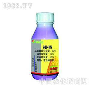 �A�-20%�������׷N��