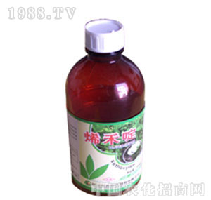 �L���r��-ϩ���