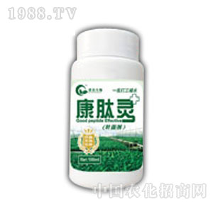 �S��-�����`���~����Ч����