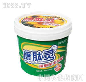 �S��-�����`��(j��ng)��(j��)�������