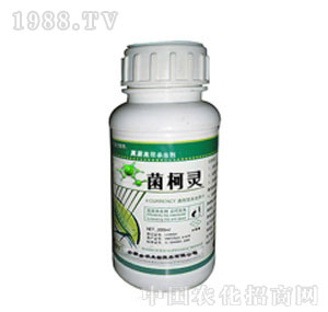 ���r����-�����`