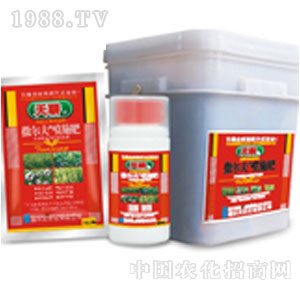 ������-������ʩ��