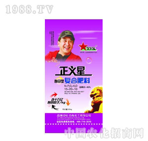 ��������-��ĸ�͏ͺϷ�