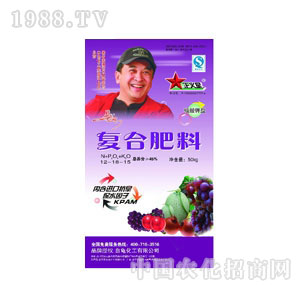 ��������-������͏ͺϷ�