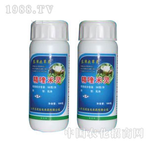 �������-��୺��`����