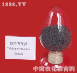 �w��ʯ�ҵ�