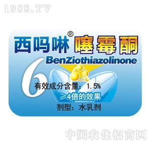 �����A��-��������ùͪ