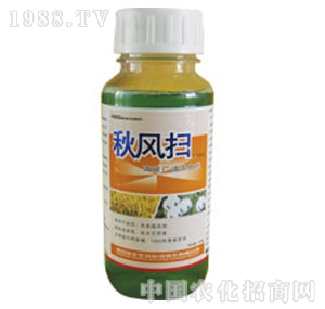 ����-���L��