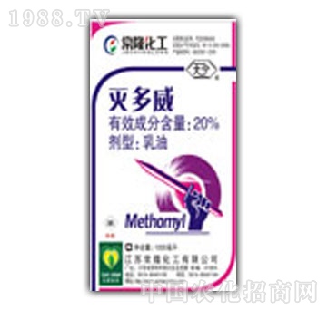 ��¡-�����