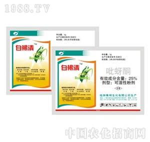 ����-����ͪ