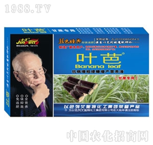 �~�Ÿ��ጣ��