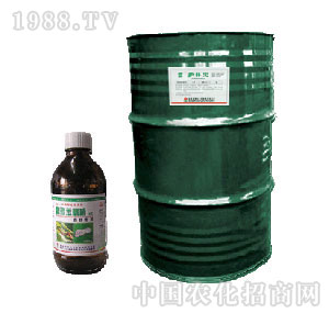 ɳ¡�_(d��)����-�o(h��)�֌�