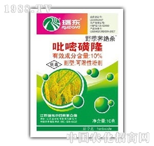 ��(r��n)�S����-���׻�¡