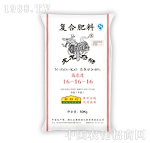 ����-�����R�{��(f��)�Ϸ�