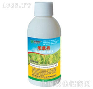 �����_(d��)-�̲ݵ�