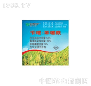 �����_-�S�ױ�����