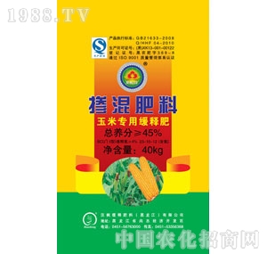 �h��-����������׌���