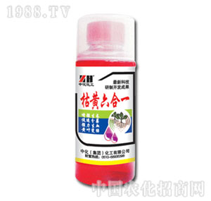 �л�����-���S����һ