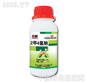 �л�����-13%2�4���c