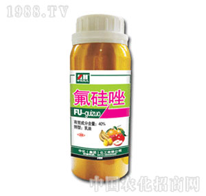 �л�����-40%������