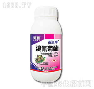 �л�����-���x��