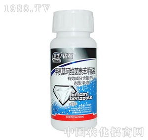 ���-̩���@ʯ