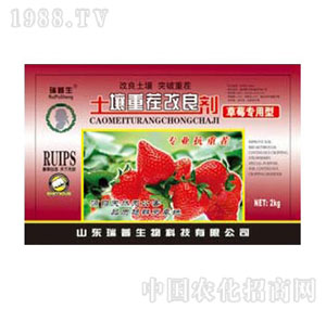 ������-�����ز����������ݮ